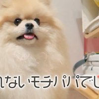 可愛くて憎めません♡