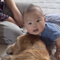 犬の上で驚く赤ちゃん