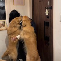 熱烈大歓迎にホッコリ