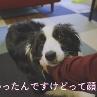 彼女のように甘えん坊に♡