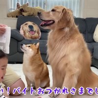 アルバイトの報酬はおやつ♡