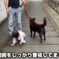 常に周囲を警戒