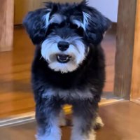 「騙されないぞ！！」