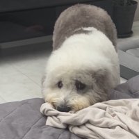 もう1回いじけるポン太くん