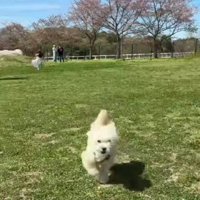 健気な姿にキュン♡