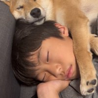 寄り添って眠る犬と男の子