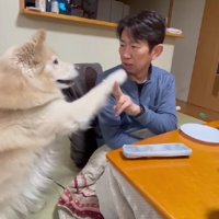 前足が指の間にフィット！！