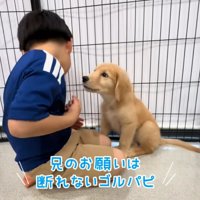 顔を近づける男の子