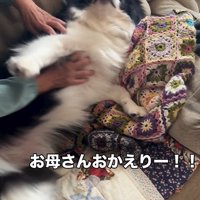 マリちゃんの熱烈歓迎4