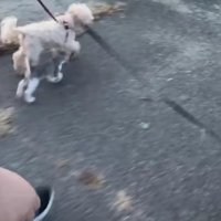 まるで家族みたい！！