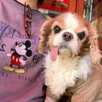 投稿主さんといつも一緒♡