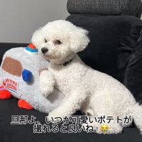 パパが撮ったポテトくん4