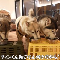 宿での夜ごはん