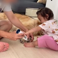 お手伝いするほのちゃん