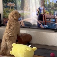 愛嬌満点のあおいくん