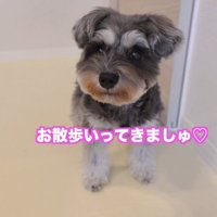 お散歩がてら、お迎えに行きます♪