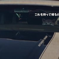 大満足のおもちちゃんでした♡