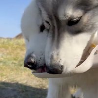 お水をガブガブ