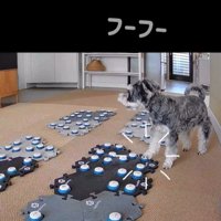 告げ口するモネちゃん5