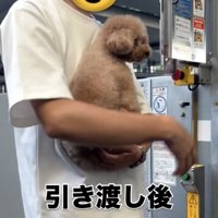 パパに抱っこされたら、ケロッとしてます