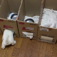 グッドアイデアでした！！