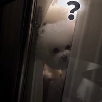 バレないで家を出られるか挑戦9