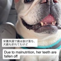 大切にされるって嬉しい
