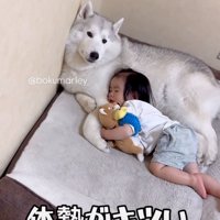 犬を枕にして眠る男の子3