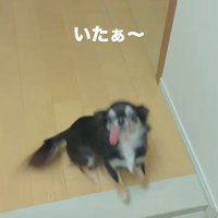 いた～！！