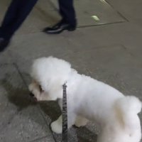 パパさんのお迎えに来たふう太くん8