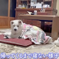 起きて待ってます