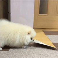 これからも幸せにね