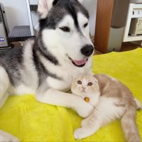 気付いたら親子のような関係に