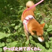 「やっぱ帰ろ～っと」