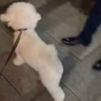 パパさんのお迎えに来たふう太くん9