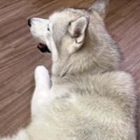 にっこり
