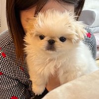 吸われる