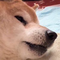 何度も名前を呼ぶお姉ちゃん