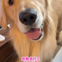 お散歩で気分転換したとか♪