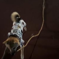 一生懸命運び続けています