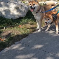 立ち止まってしまいました！