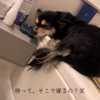 また眠ってしまいました♡