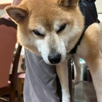 冷めた目をしています