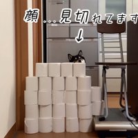 大河くんのトイレットペーパーチャレンジ5