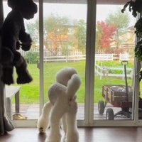 天井に届きそう！？