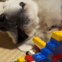 本気の眠りへ