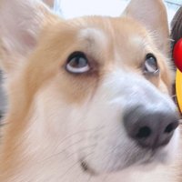 これはこれで愛おしい（笑）