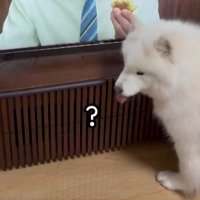 あれ？