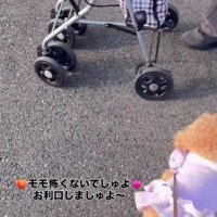 犬が苦手なおばあちゃんに遭遇
