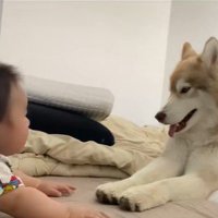 茶々丸くんと赤ちゃん